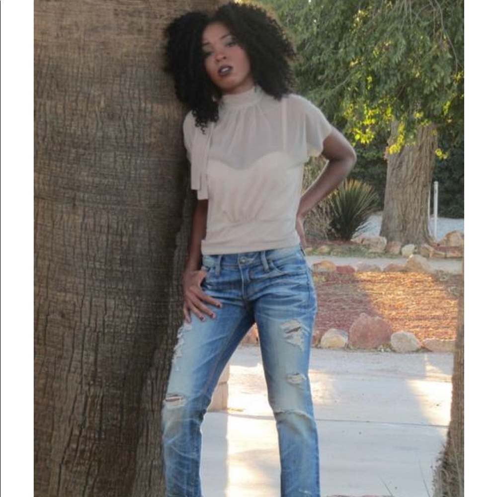 Nude Sheer Blouse